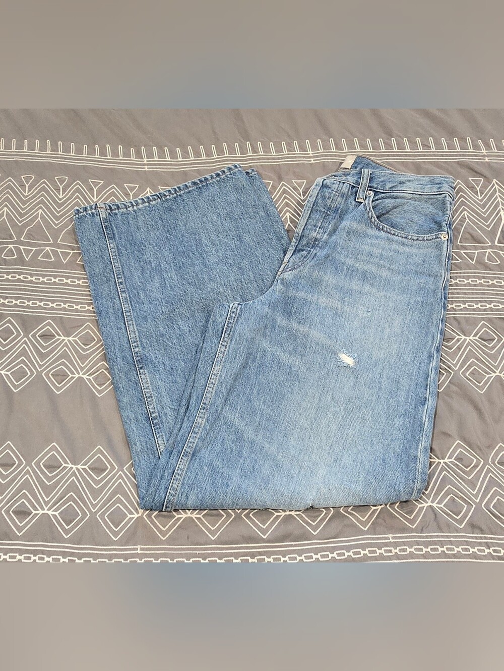 Everlane The Super Baggy Jean Size 26